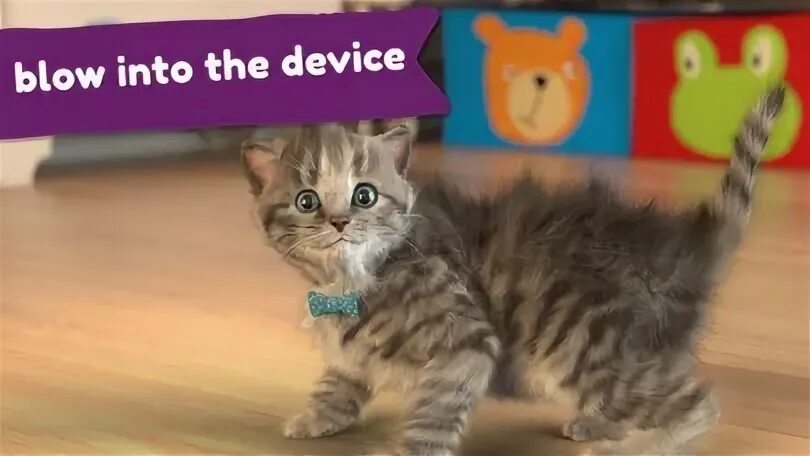 My kitten am