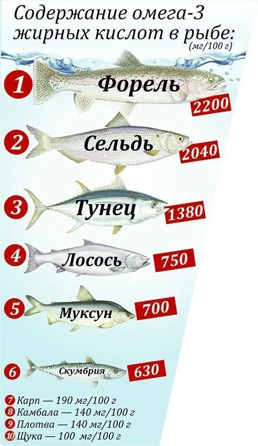 Самые полезные сорта рыбы. Польза рыбы и морепродуктов. Какие сорта рыб есть. Полезные сорта рыбы. Разновидности полезных рыб.