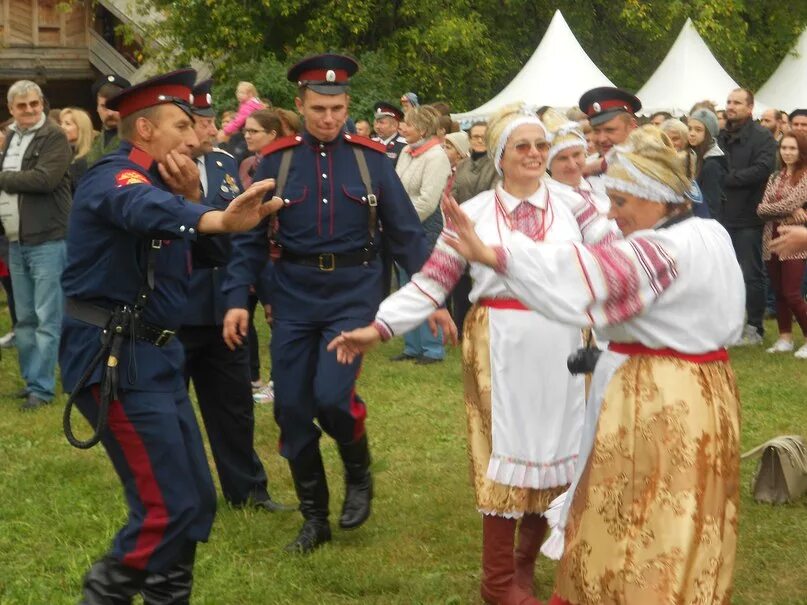 казаки в поле. казак на коне. юта казак лихой. любо мне. казачья песня любимый мой.