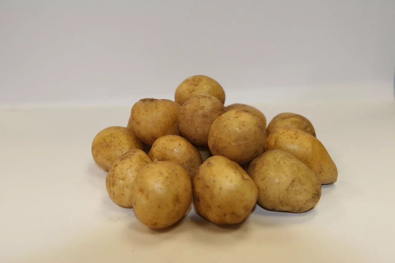 Какие семена картошки. Картофель сорт Арамис. Картофель Адретта. Сорта картофеля Каштак.