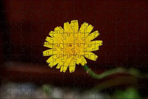 Yellow up