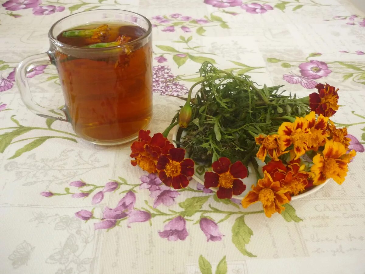 Отвар бархатцы. Фиточай с бархатцы. Чай из бархатцев. Настой бархатцев. Бархатцы пить чай.