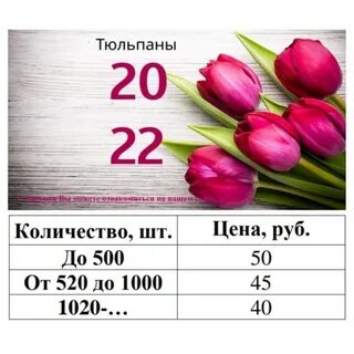 Тюльпаны сколько стоят 1 шт
