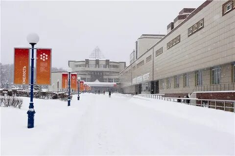 сфу нефтегаз
