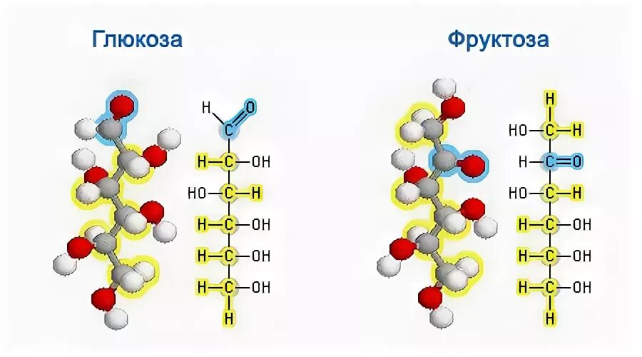 Состав глюкозы и фруктозы. Структура Глюкозы и фруктозы. Строение Глюкозы и фруктозы. Молекула фруктозы формула. Молекула Глюкозы и фруктозы.