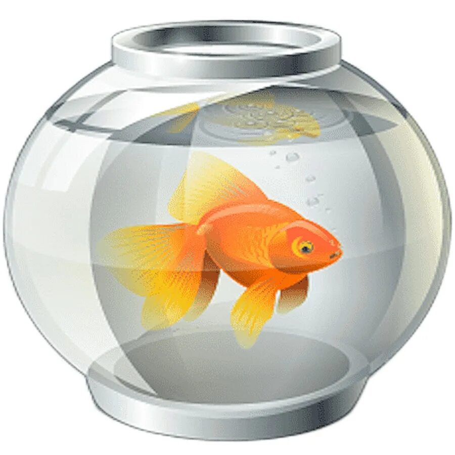 Карп фэн шуй. Рыбки для аквариума. Рыбками основа. Картинки на рабочий стол рыбки. Золотая рыбка в оквариум.