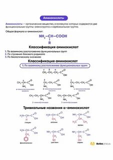 Амины егэ тест