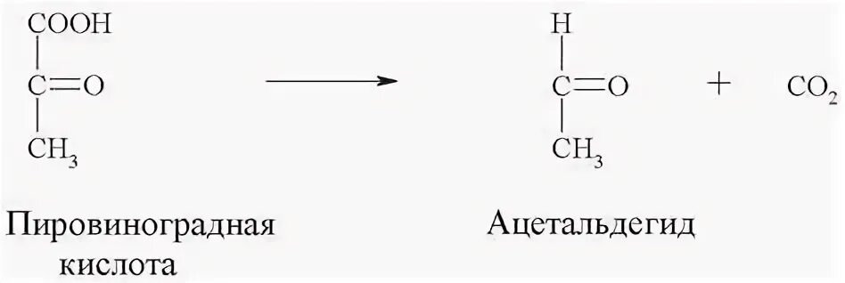 Пировиноградная кислота + co2. Альдегид пировиноградной кислоты. Пировиноградная → уксусный альдегид + со2. Пировиноградная кислота и Тионилхлорид. Пировиноградная кислота биополимер