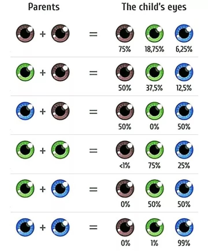 Может ли родиться светловолосый и голубоглазый ребенок. У папы голубые глаза у мамы карие какие будут у ребенка цвет глаз. Какие глаза будут у ребенка если у родителей карие и зеленые. Если у матери голубые глаза а у отца карие какие будут у ребенка. Таблица цветов глаз ребенка.