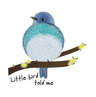 Little birdie