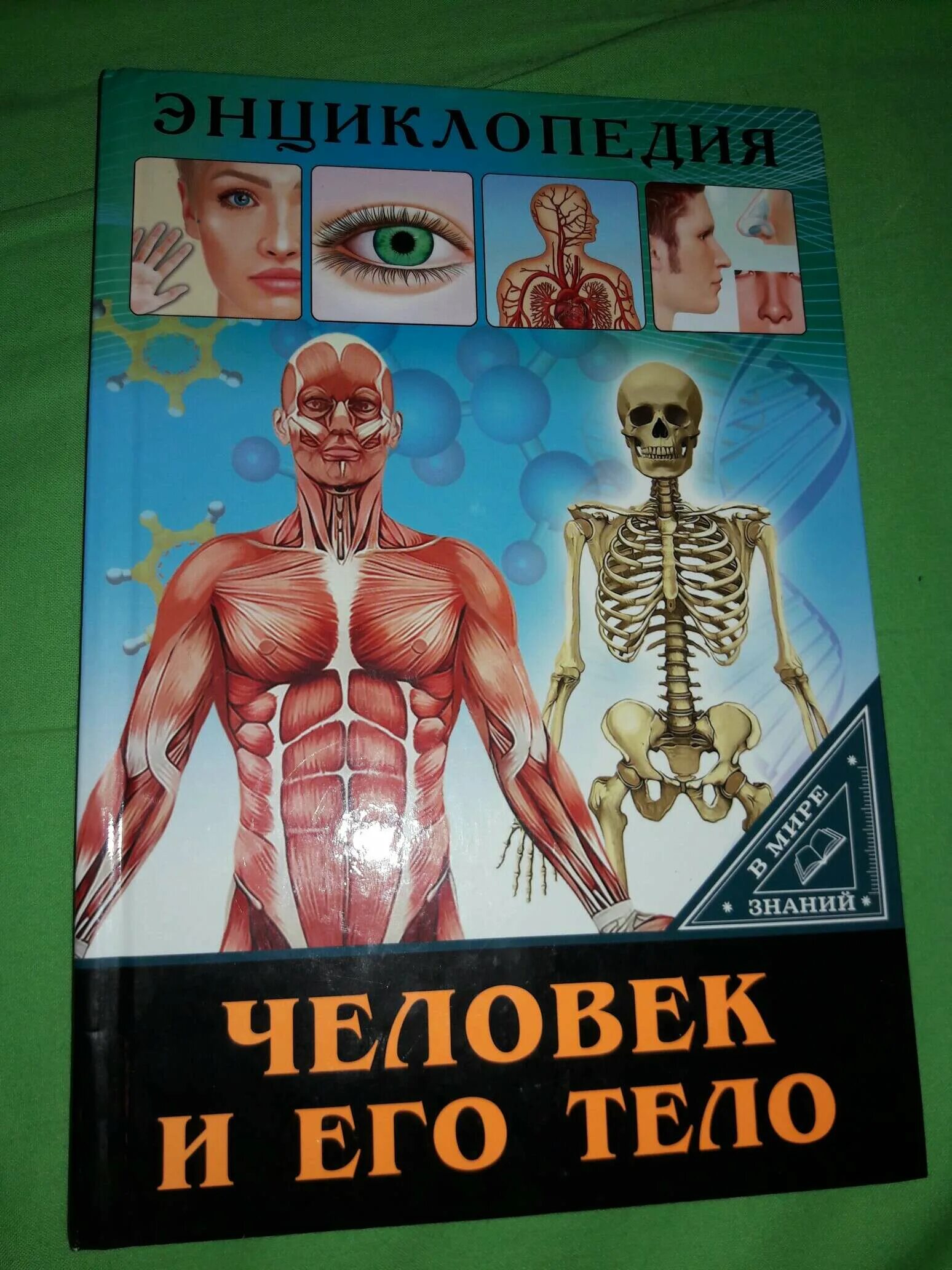 Книга энциклопедия человек. Человек. Энциклопедия. Энциклопедия. В мире знаний. Человек и его тело. Книга человек энциклопедия. Энциклопедия человек и его тело.