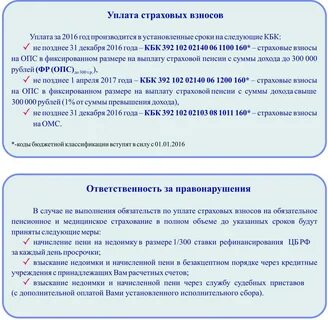 Отношения по уплате страховых взносов