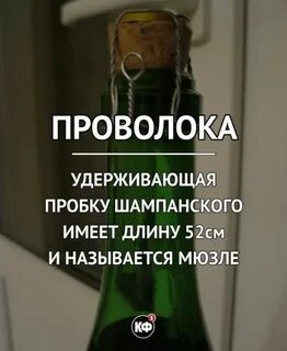 Проволока которая держит пробку шампанского как называется