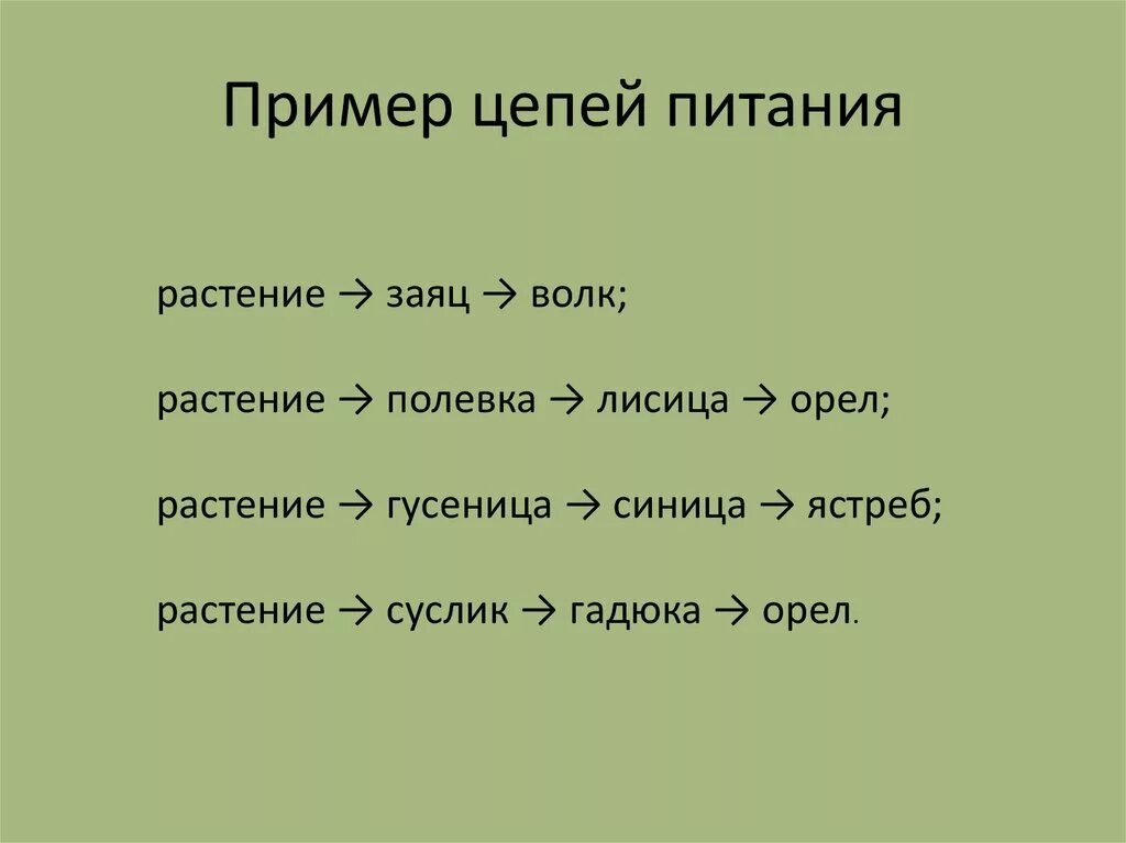 Цепь питания 9 класс