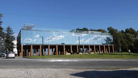 Шампанерия золотая балка балаклава