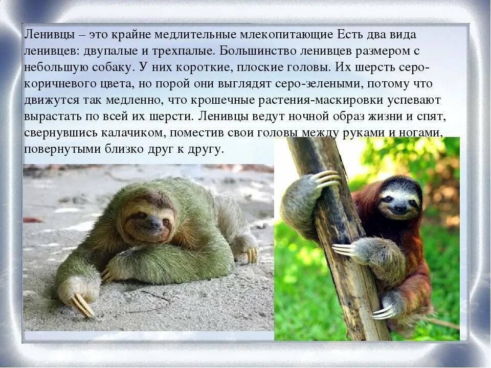 Коротко их жизни в это