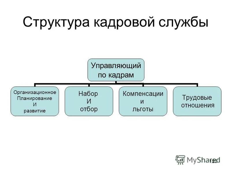 кадровая служба состав. структура отдела по управлению персоналом. структура службы управления персоналом. схема кадровой службы на предприятии. типовая структура кадровой службы организации.