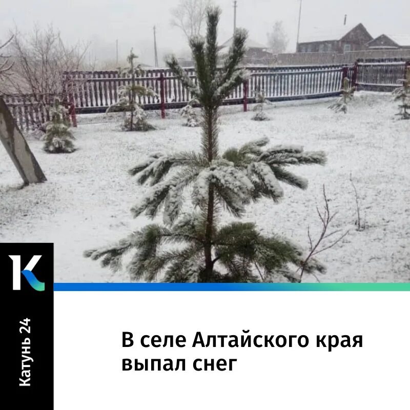 В крае выпал снег