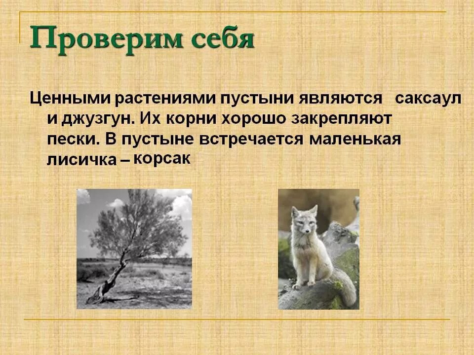 Установите соответствие между растениями и животными саксаул