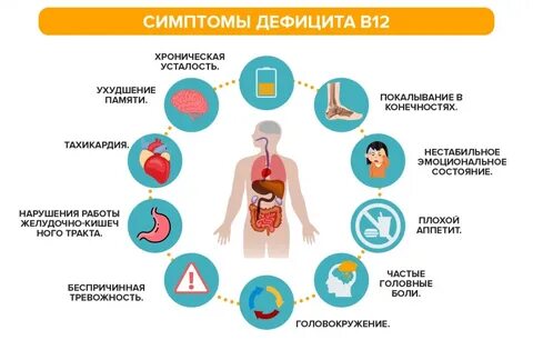 В12 недостаток симптомы у взрослых женщин