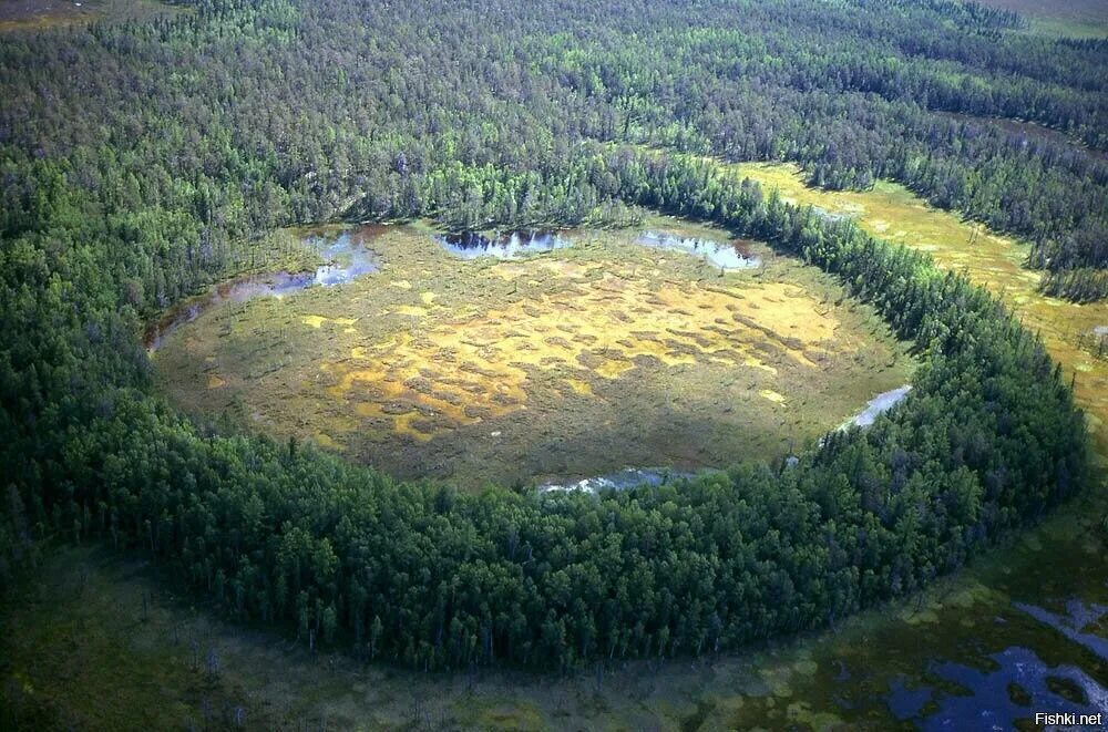 на территории европы расположено озеро. охридское озеро на карте. на территории европы расположено озеро. северная македония озеро преспа. ладожское озеро доклад.