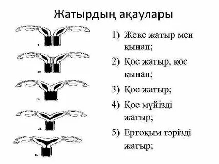 Мен жыныстық қатынас алдында қамшылауды ұнатамын.