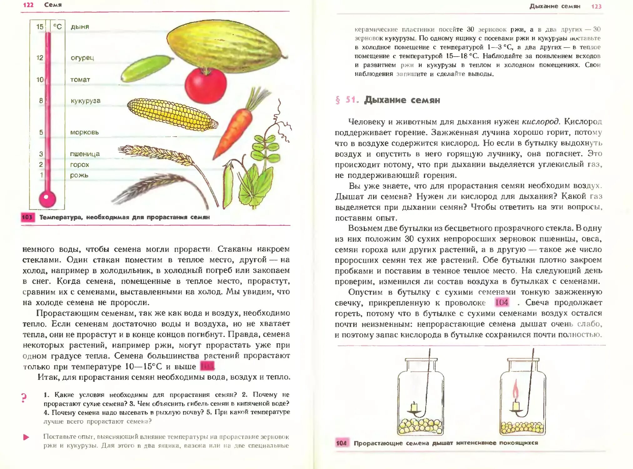 Сроки всхожести семян овощей таблица. Температура прорастания семян овса. Минимальная температура прорастания семян. Температура прорастания семян овса. Температура прорастания семян пшеницы.