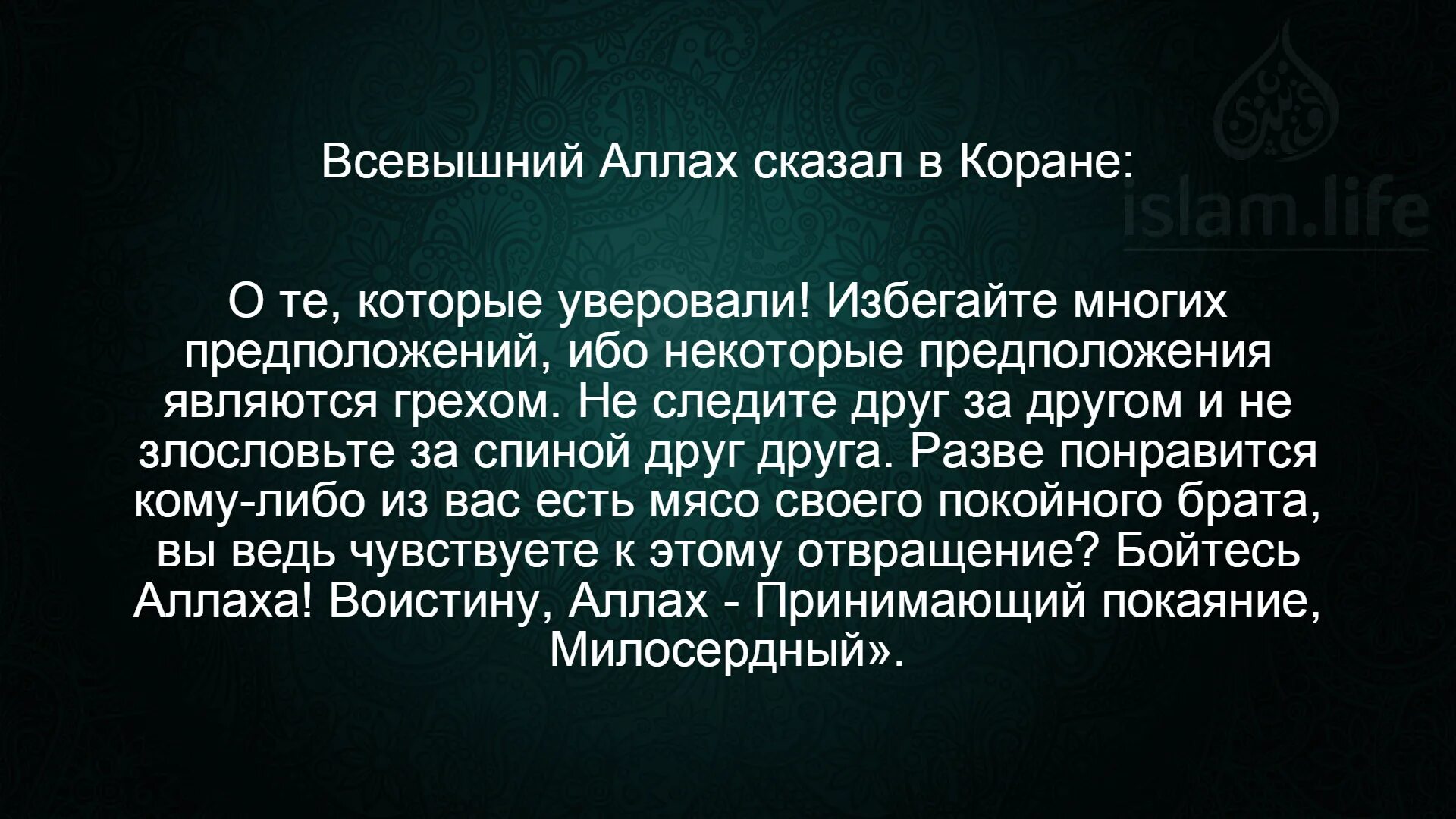 Правду ли дают. Хадисы. Обои для мусульман цитаты. Цитаты из Корана. Аллах сказал друг друга.