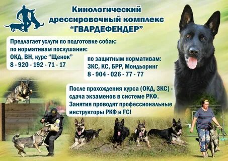 Кинологический клуб собак