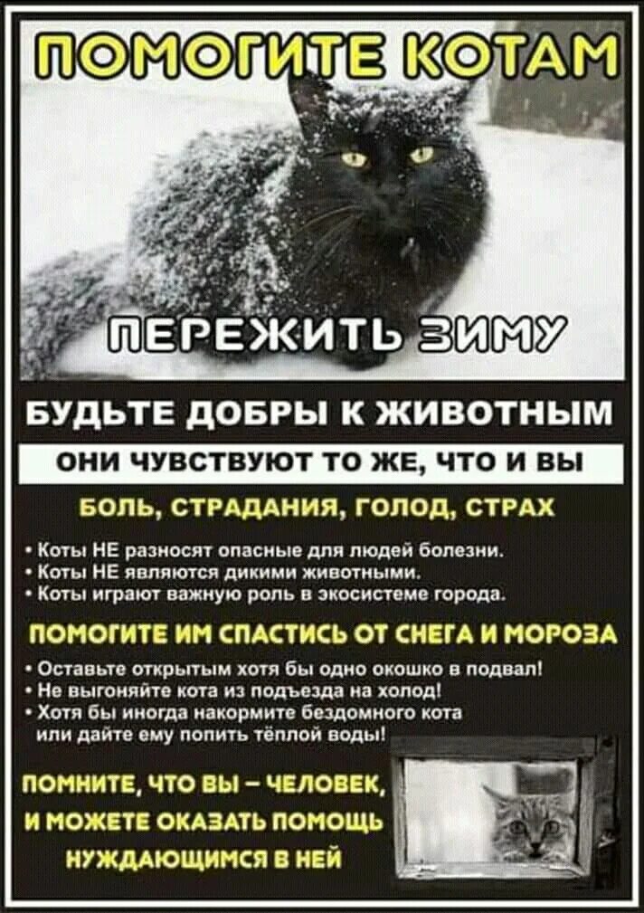 Волк зиму переживет но холод не забудет