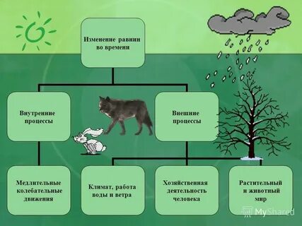 Животные в хозяйственной деятельности