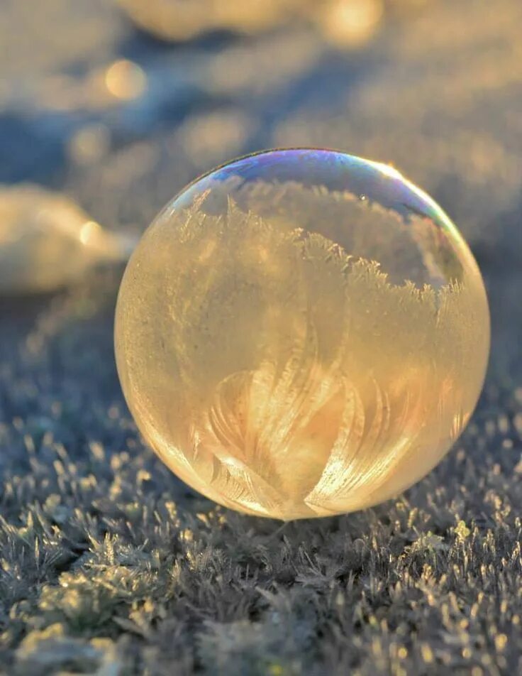 Pretty bubbles