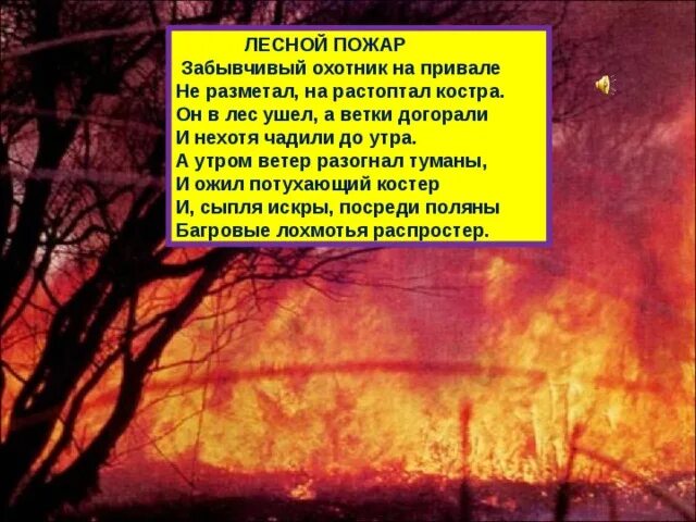 Лесные пожары презентация. Лесной пожар стихотворение забывчивый охотник. От лесного костра огонь разметало. Ветры разгонят. Встало солнце разогнав туманы впр