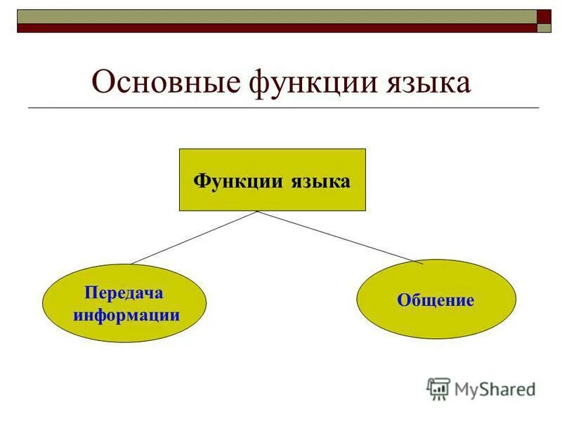 Отметьте основные функции