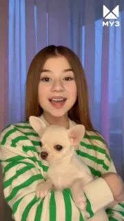 Хаметова песик