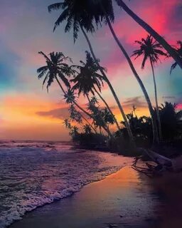 Paradise relaxing
