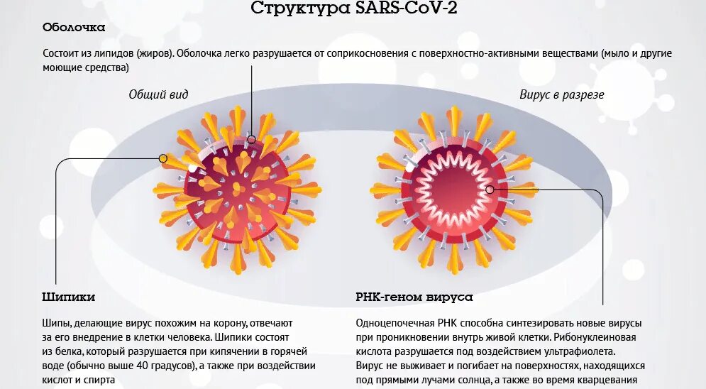 Есть ли ковид 2025