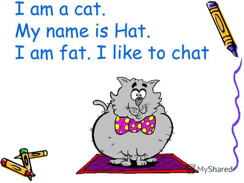 My cat name is. My cat name is