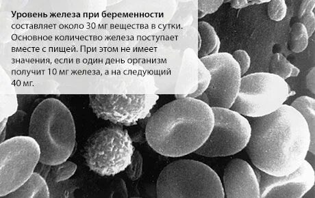 Когда сдавать железо после приема железа