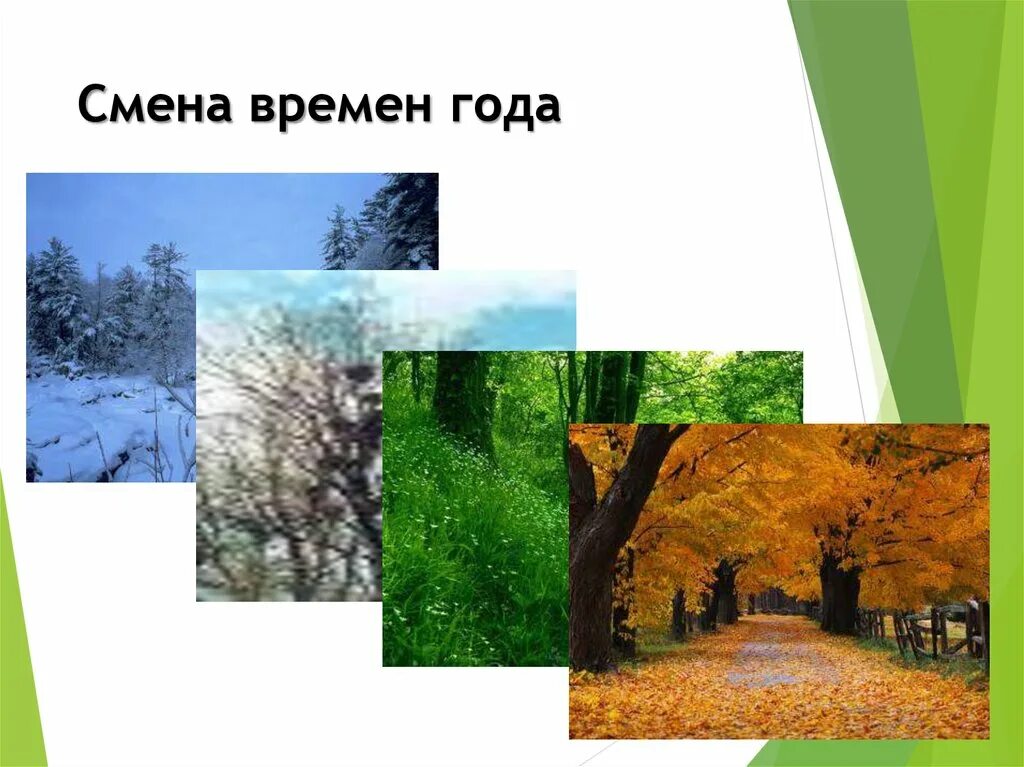 22 декабря сезонные изменения. Смена времен года. Влияние смены времён. Влияние времен года на человека.