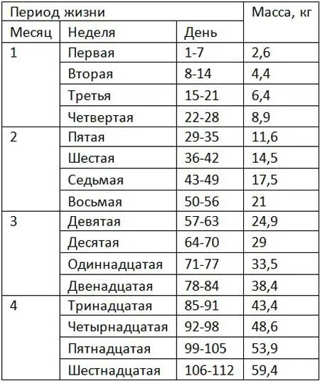 Таблица прироста поросят по месяцам. Вес поросят по месяцам таблица. Сколько весит поросенок в 8 месяцев. Сколько должен весить 2 месячный поросенок.