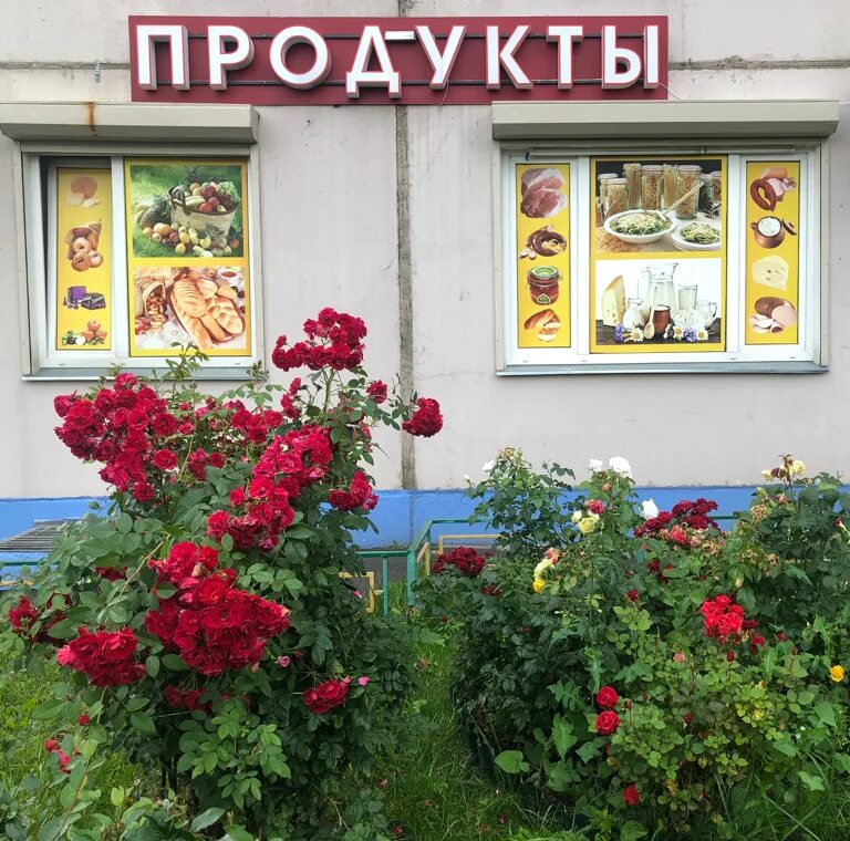 Кутузовская 35 трехгорка. Магазин продуктов одинцово. Интернациональная 2 одинцово. Одинцово, можайское шоссе, дом 45. Одинцово можайское шоссе 71б.