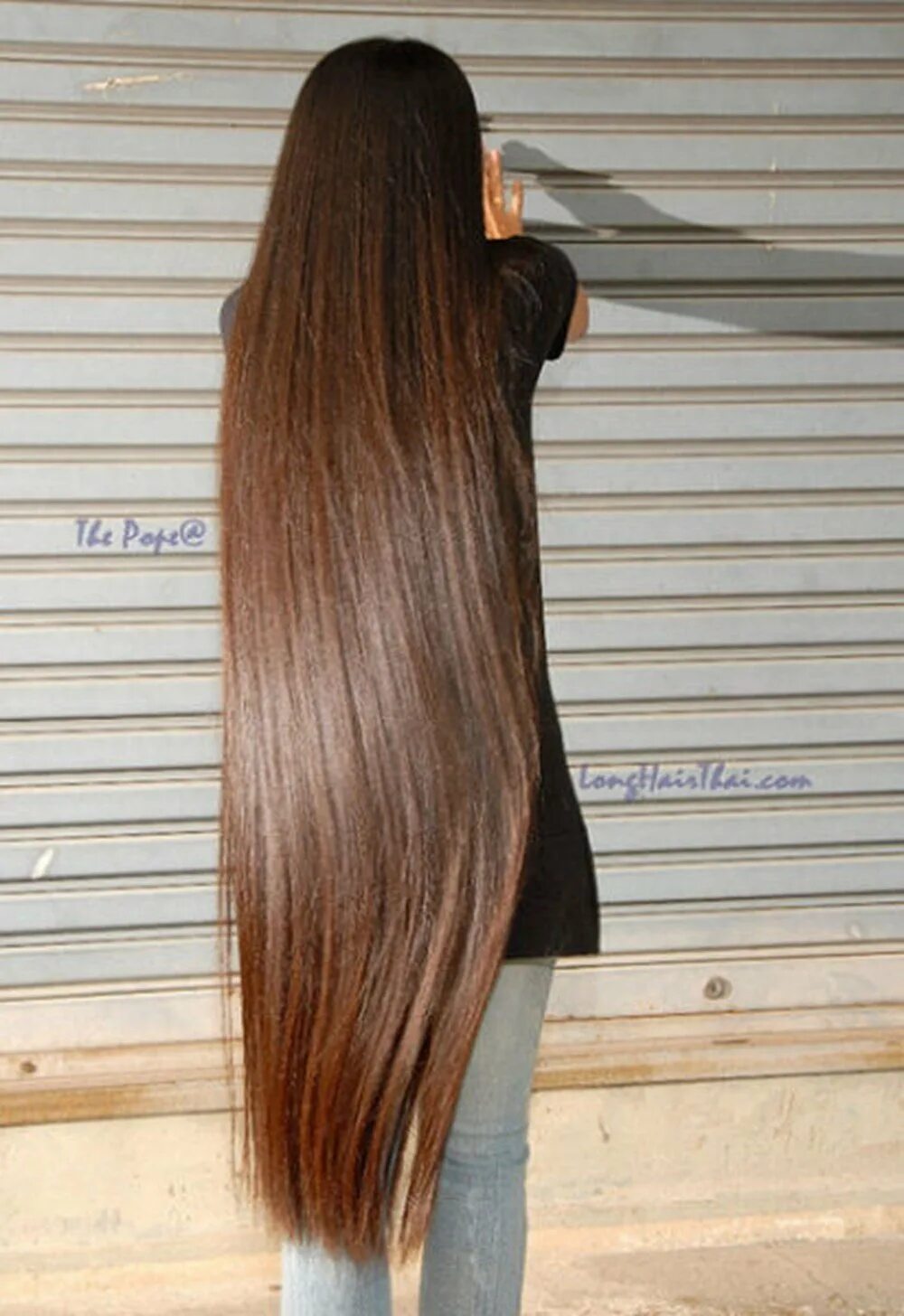 Длинные волосы всегда. Каскад Лисий хвост. Длинные волосы. Стрижки на длинные волосы с здади. Очень длинные волосы.