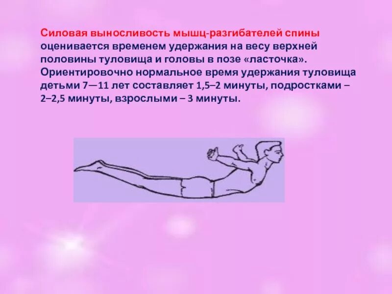 Координация работы мышц разгибателей осуществляется в. Силовая выносливость мышц. силовая выносливость мышц спины. оценка статической силы мышц разгибателей спины. определение силовой выносливости мышц спины.