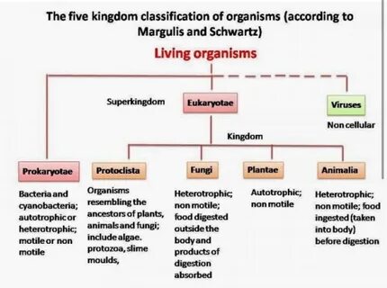 Classify into