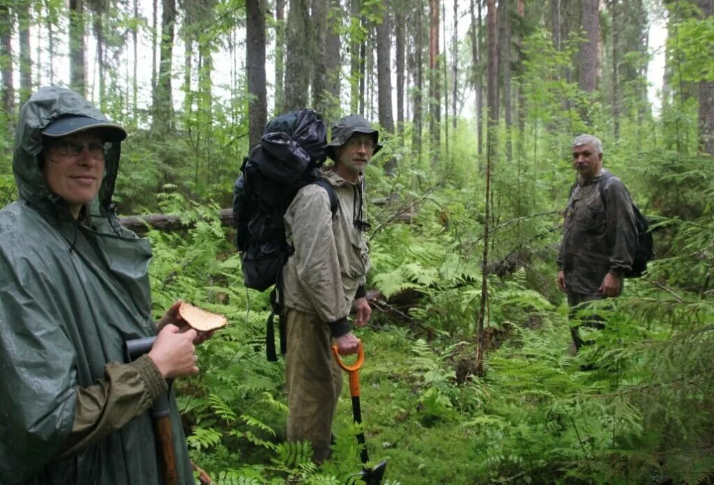 Национальный парк Койгородский в Республике Коми. Койгородский заповедник. Геологи в тайге. Поход в тайгу.