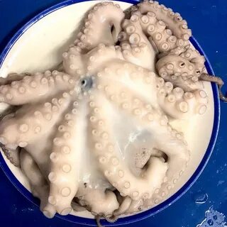 Осьминог замороженный