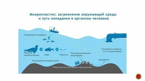 Микропластик конференция