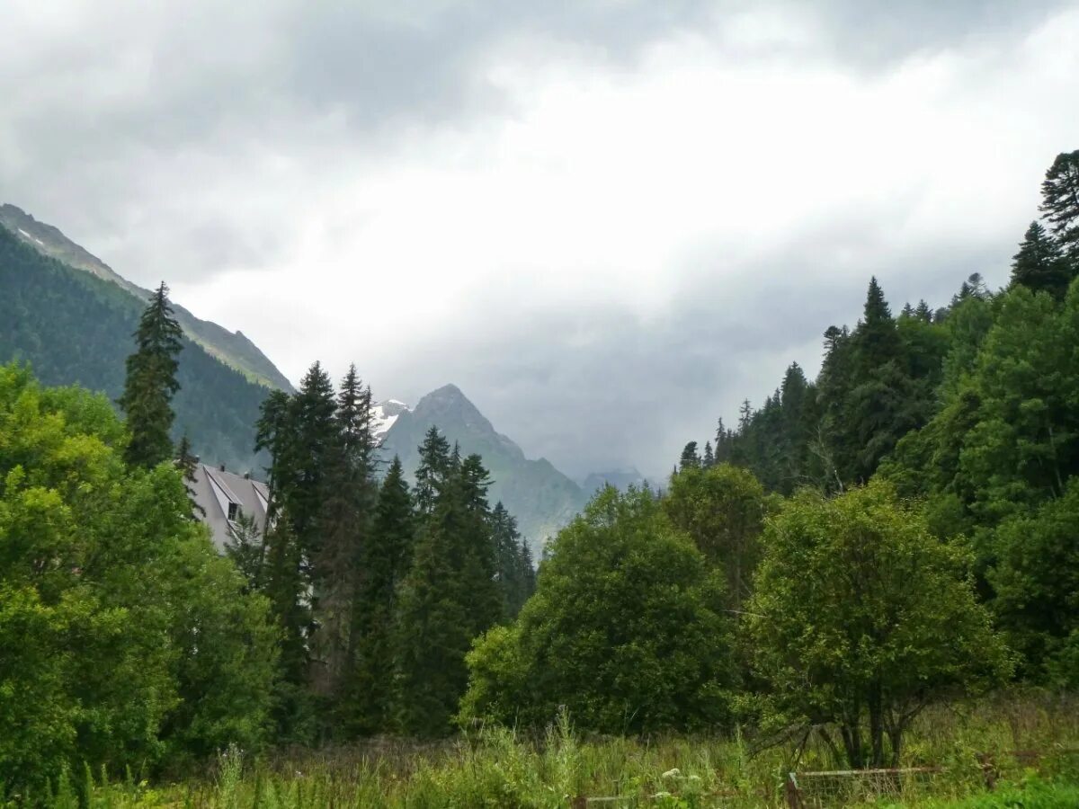 Домбайская поляна карачаево-черкесия. Достопримечательности теберды и домбая. Тебердинский заповедник альпийские луга. Тебердинский заповедник. Солнечная поляна домбай.