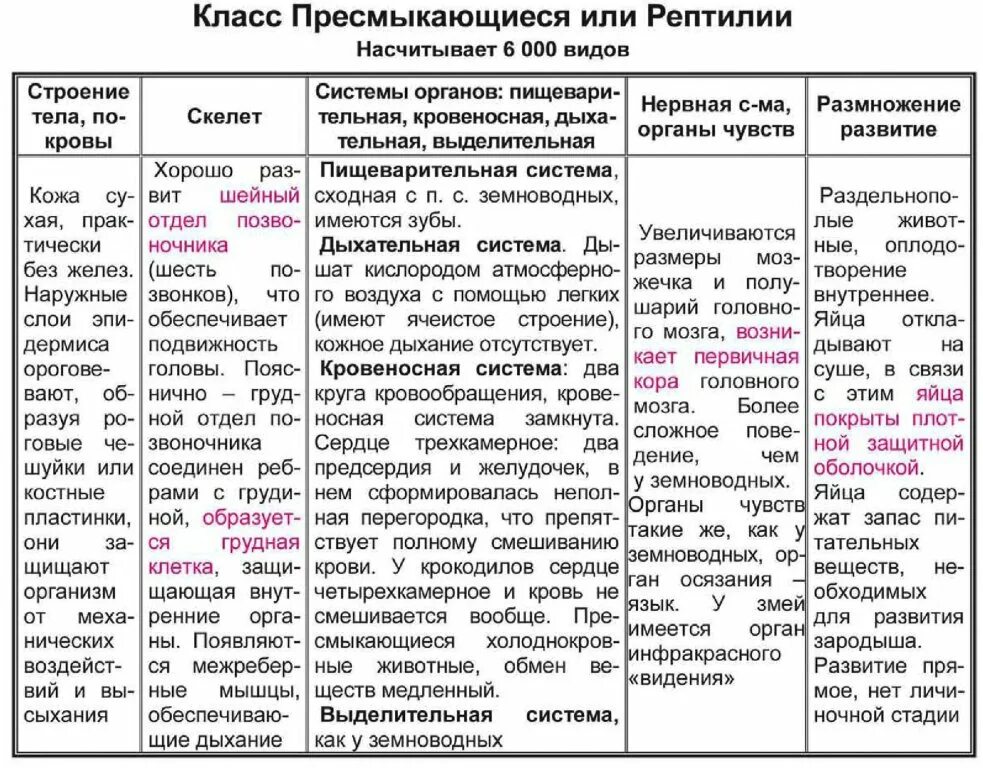 Заполните таблицу пресмыкающиеся и млекопитающие. Внутреннее строение пресмыкающихся таблица система строение функции. Таблица пресмыкающиеся система строение функции. Биология 7 класс пресмыкающиеся характеристики таблица. Система органов строение и функции таблица пресмыкающихся.